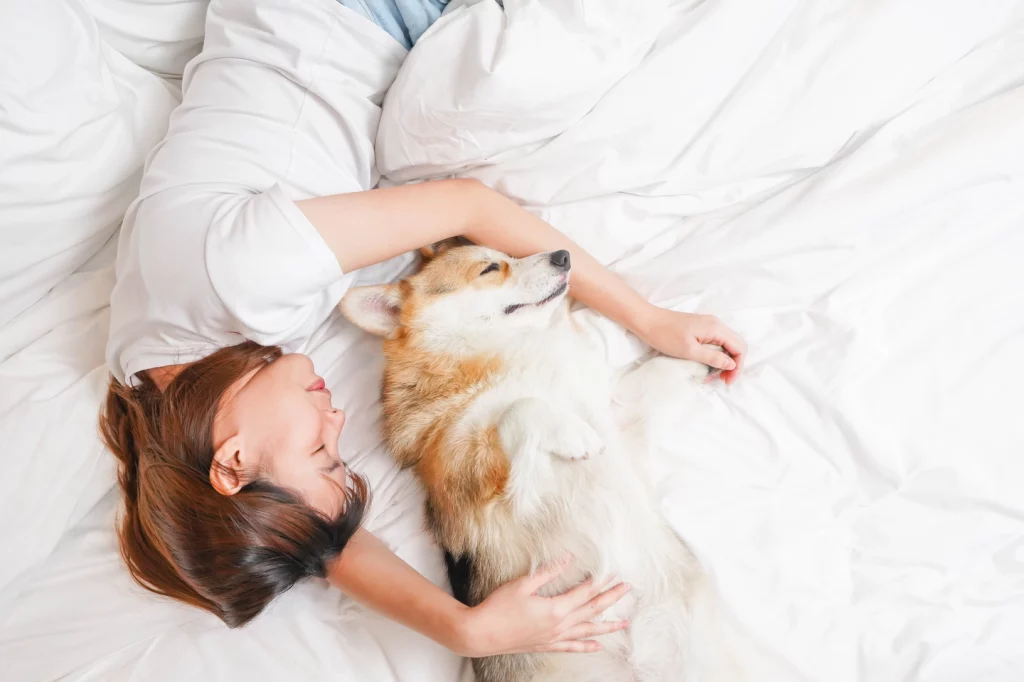 Hotel Pet Friendly