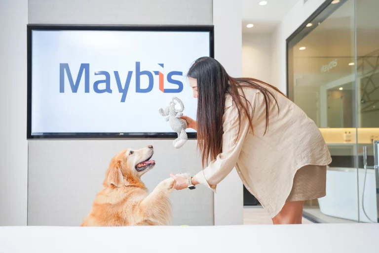 pet friendly maybis Hotel