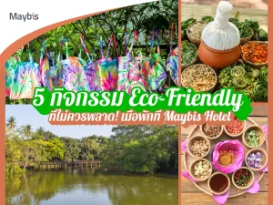 5 กิจกรรม Eco-Friendly ที่ไม่ควรพลาด! เมื่อพักที่ Maybis Hotel