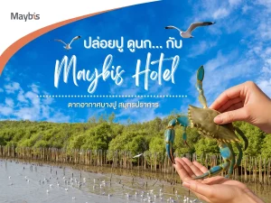 ปล่อยปู ดูนกนางนวล กับ Maybis Hotel สมุทรปราการ