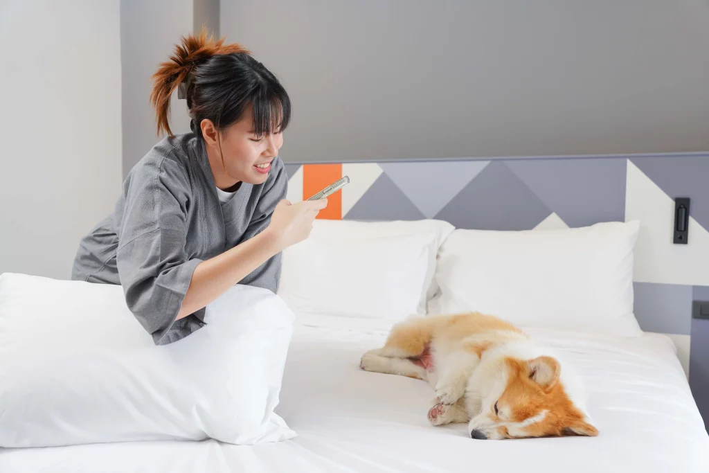 pet friendly Maybis Hotel สมุทรปราการ
