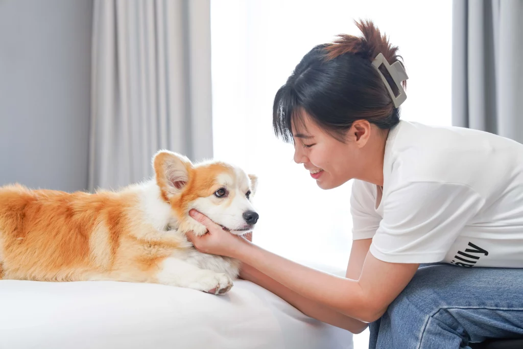 pet friendly Maybis Hotel สมุทรปราการ