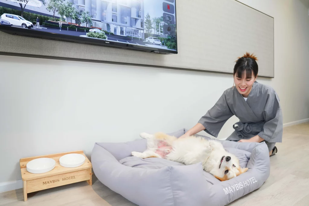 pet friendly Maybis Hotel สมุทรปราการ