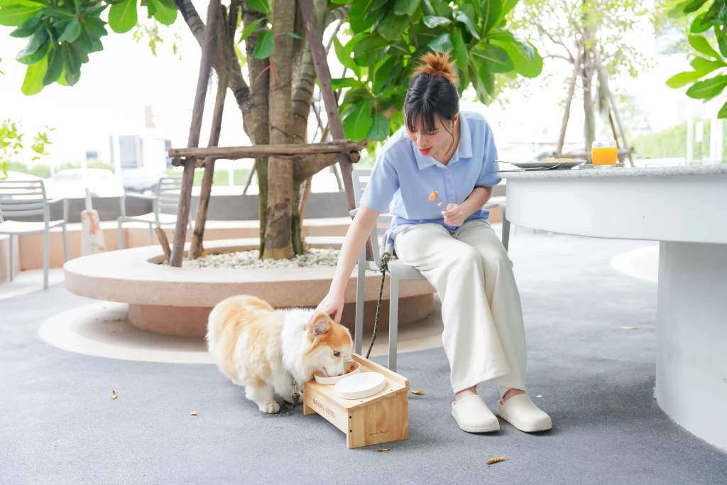 pet friendly Maybis Hotel สมุทรปราการ