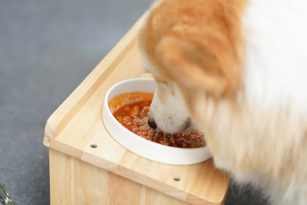 pet friendly Maybis Hotel สมุทรปราการ