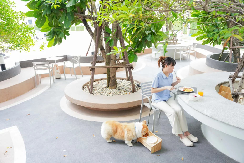 pet friendly Maybis Hotel สมุทรปราการ