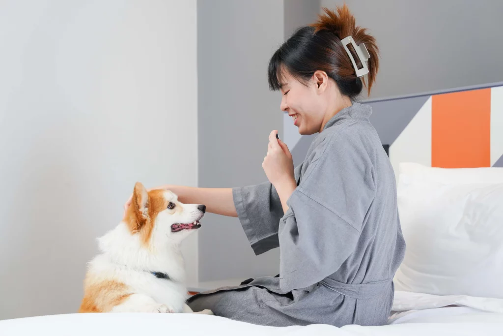 pet friendly Maybis Hotel สมุทรปราการ