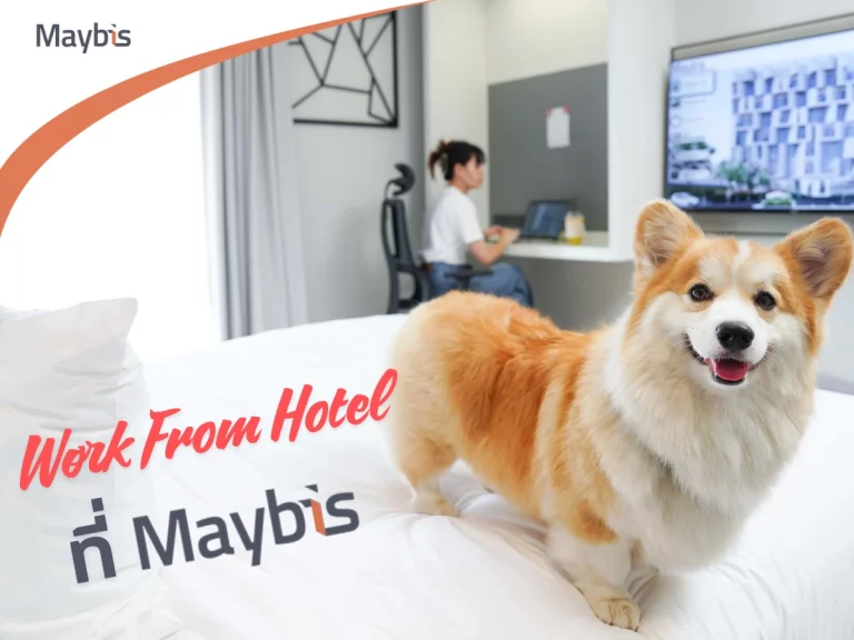 WFH หลักร้อย