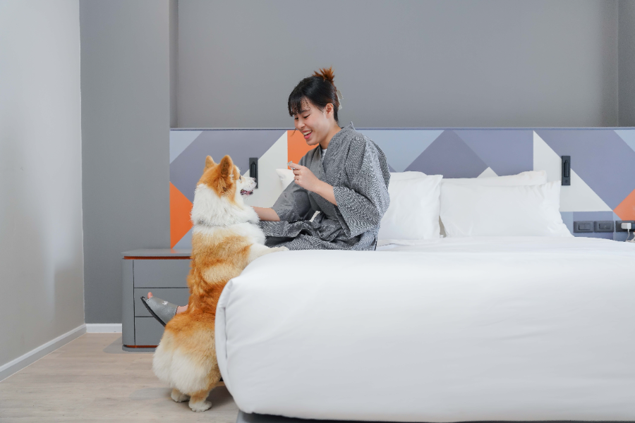 ห้องพักรองรับสุนัข