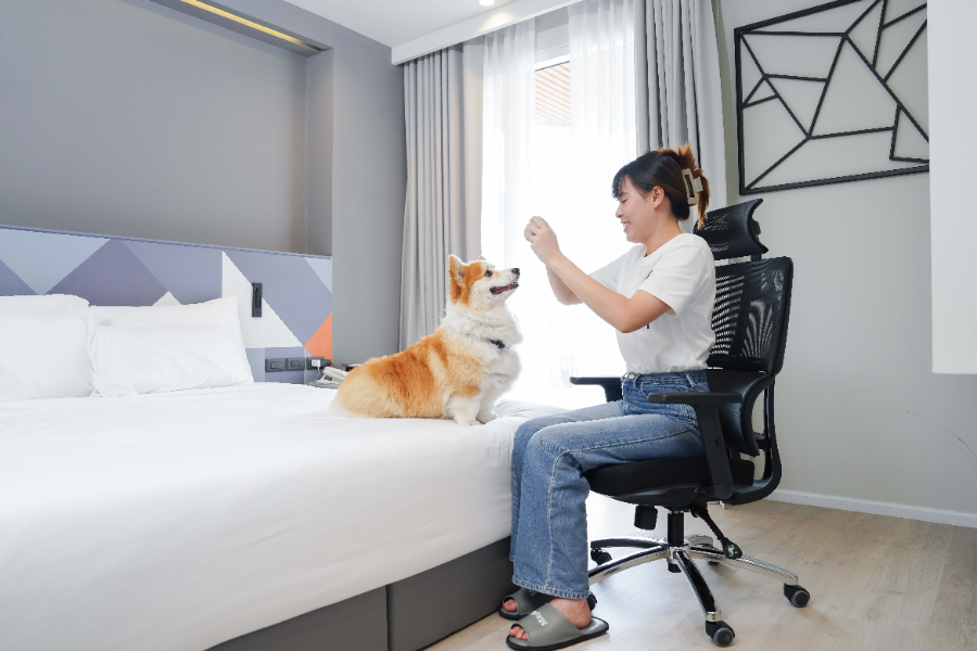 โรงแรม Pet Friendly รองรับสุนัข