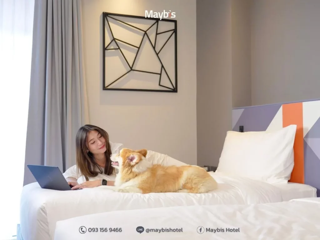 ทำไมสมุทรปราการจึงเป็นจุดหมายยอดนิยมสำหรับทริป Pet Friendly ใกล้กรุงเทพฯ