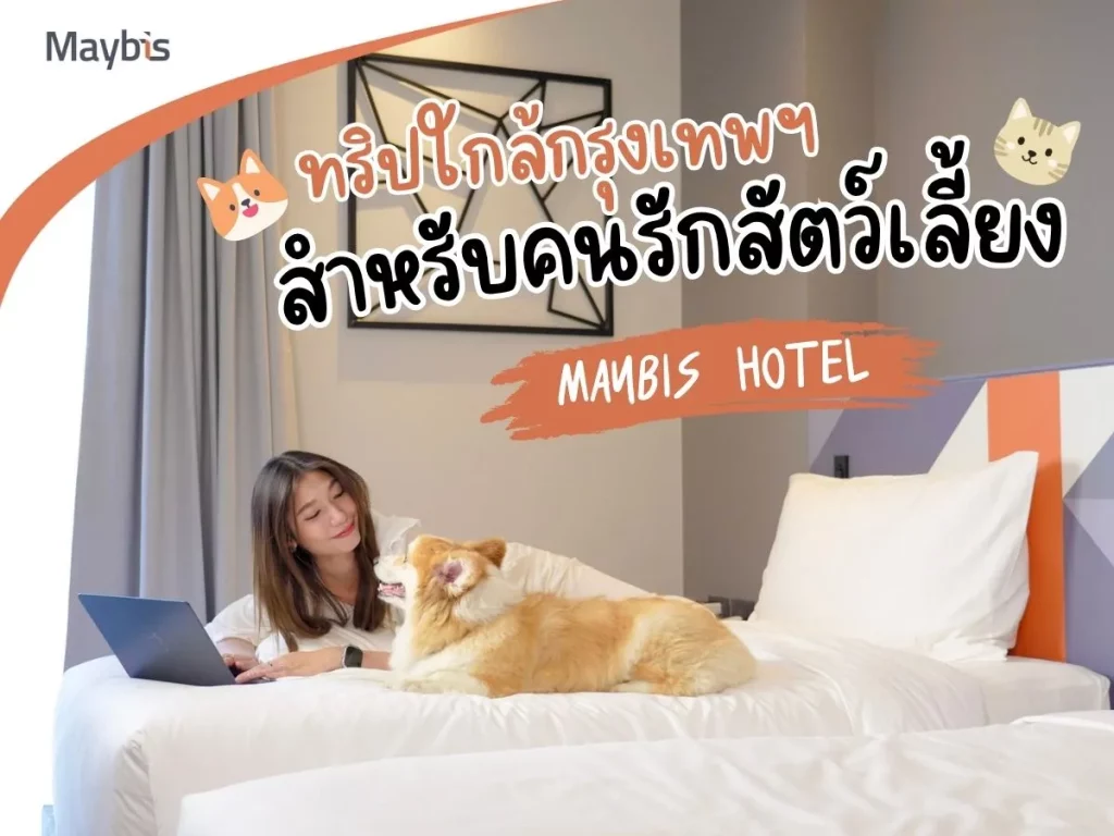 ทริปใกล้กรุงเทพฯ สำหรับคนรักสัตว์เลี้ยง - Maybis Hotel