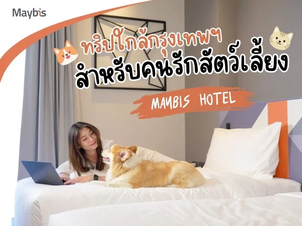 ทริปใกล้กรุงเทพฯ สำหรับคนรักสัตว์เลี้ยง - Maybis Hotel