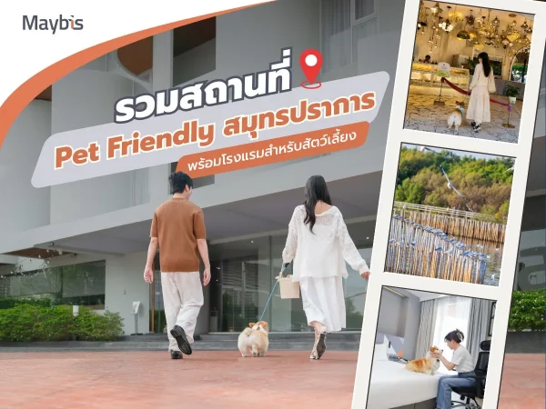 รวมสถานที่ Pet Friendly สมุทรปราการ พร้อมโรงแรมสำหรับสัตว์เลี้ยง