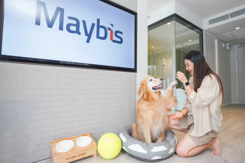 pet friendly maybis Hotel