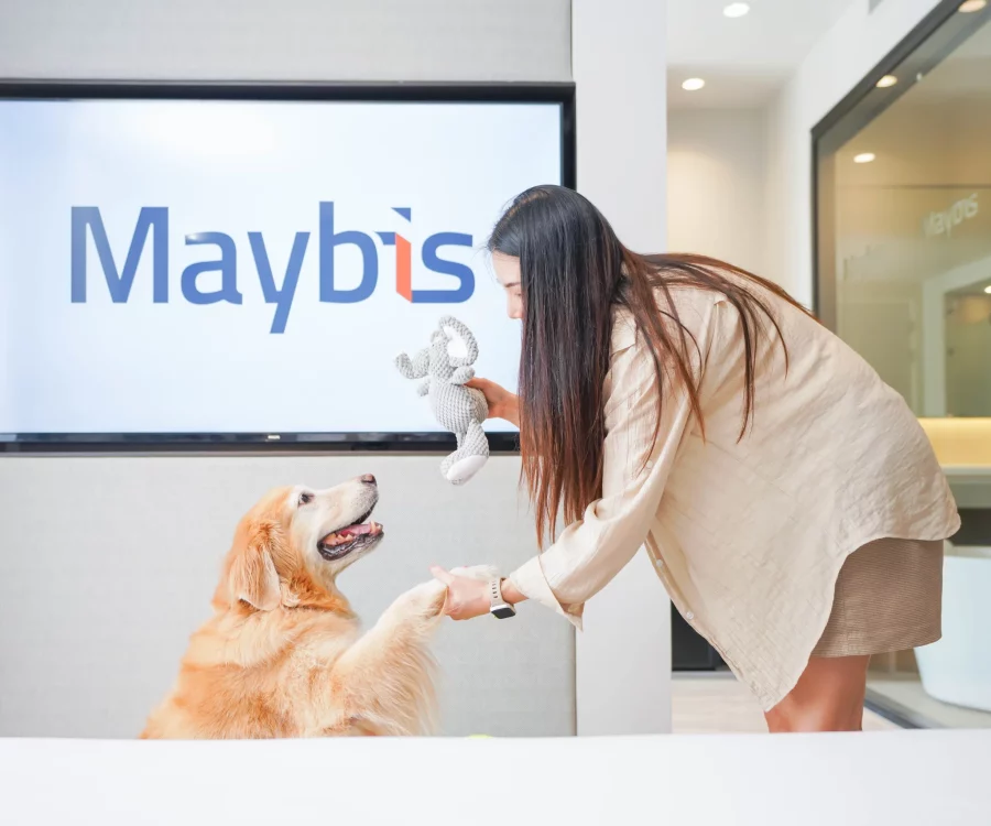 pet friendly maybis Hotel