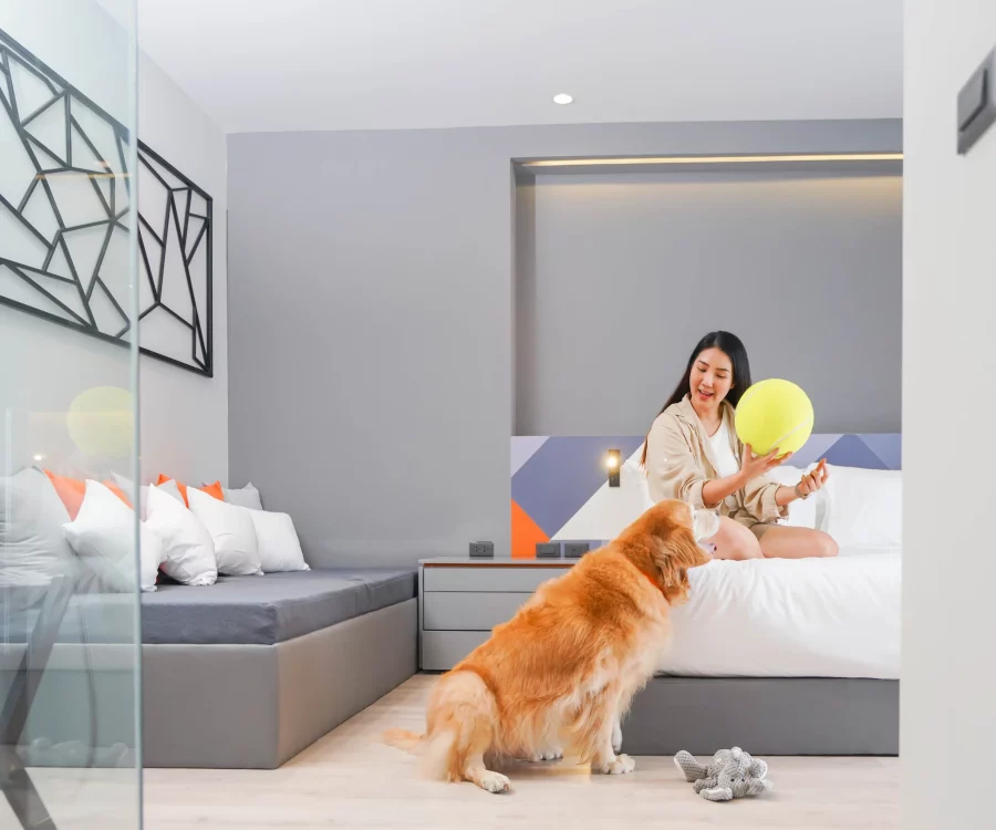 pet friendly maybis Hotel
